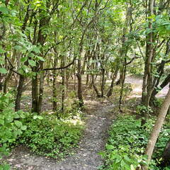 24-06-29 13-19-41 0014